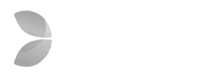 Провайдер игр — provider evolution gaming